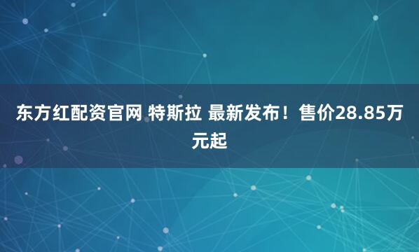 东方红配资官网 特斯拉 最新发布！售价28.85万元起