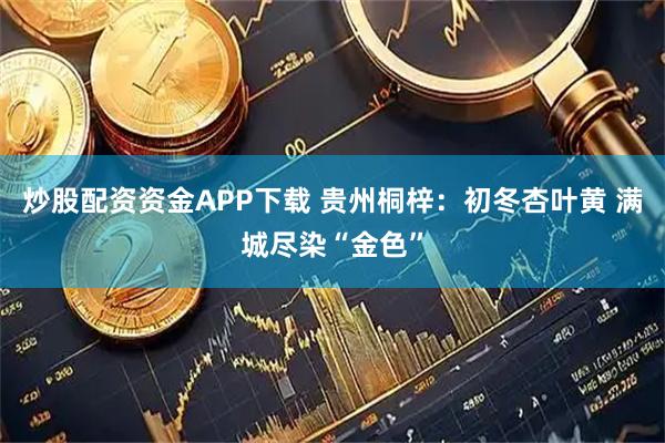 炒股配资资金APP下载 贵州桐梓：初冬杏叶黄 满城尽染“金色”