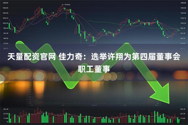 天量配资官网 佳力奇：选举许翔为第四届董事会职工董事