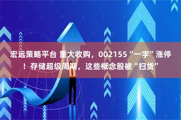 宏远策略平台 重大收购，002155“一字”涨停！存储超级周期，这些概念股被“扫货”